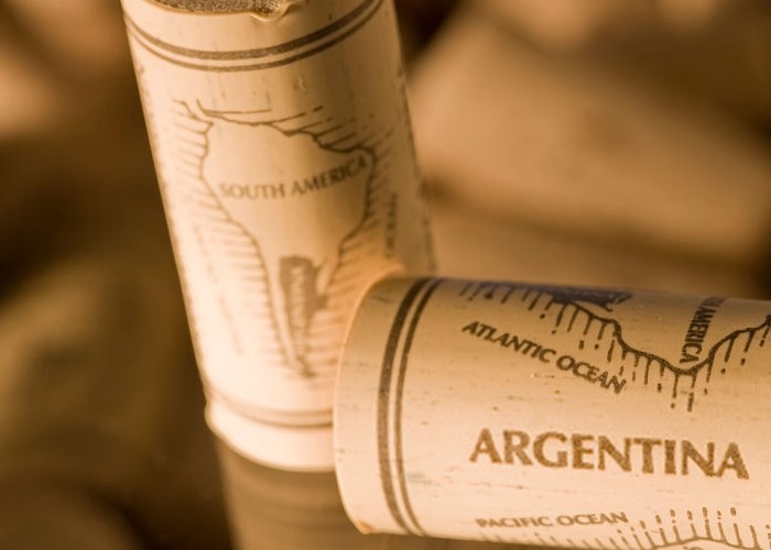 Argentina y sus cambios en la industria vitivinícola.