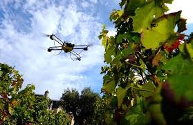 Tres avances tecnológicos en la viticultura 
