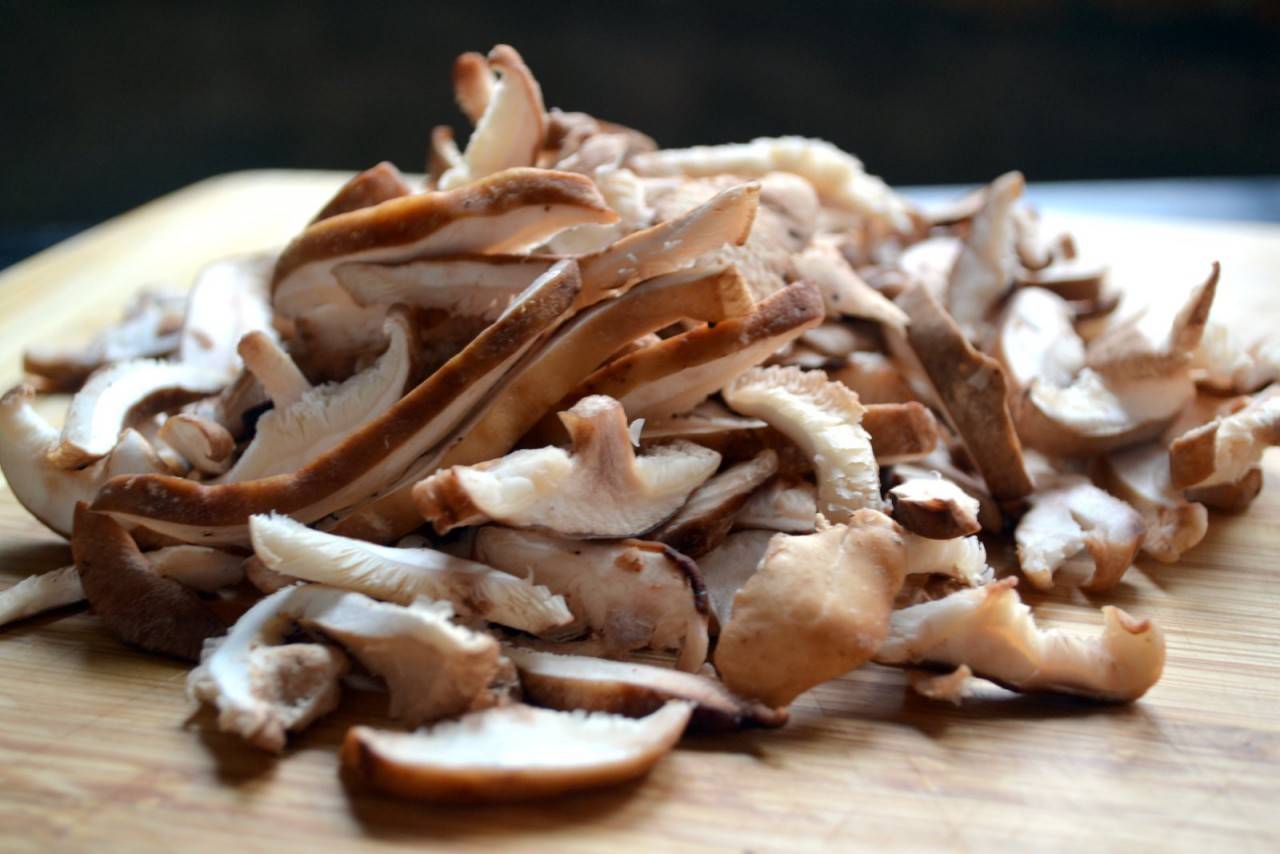 De los hongos más deliciosos del mundo, matsutake oriental