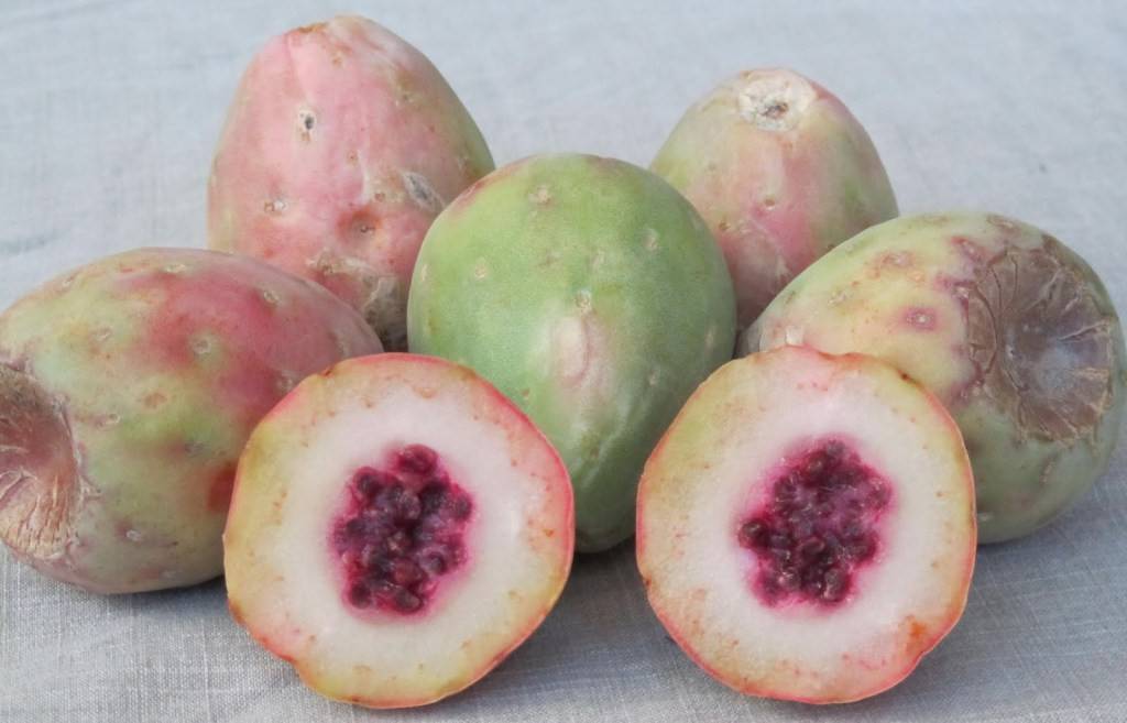 La fruta borracha o guamisha, ingrediente de Guanajuato