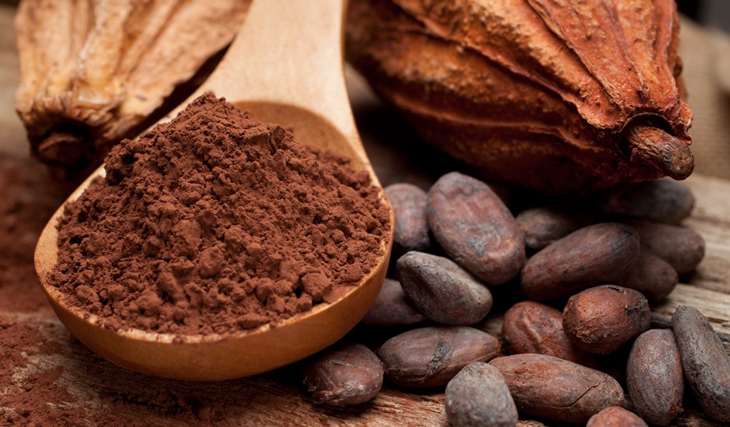 Breve historia del Cacao.
