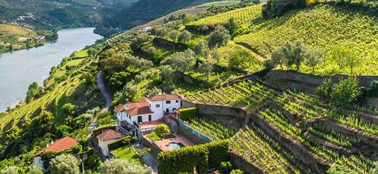 Descubre el Vino Verde de Portugal.