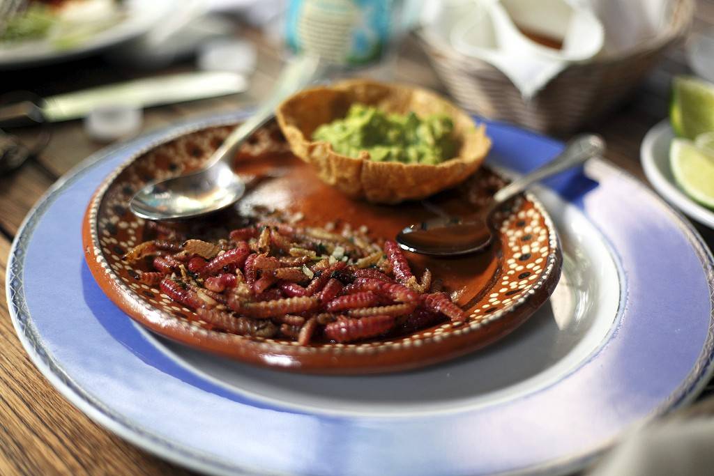 2016 otro año de la Gastronomía Mexicana