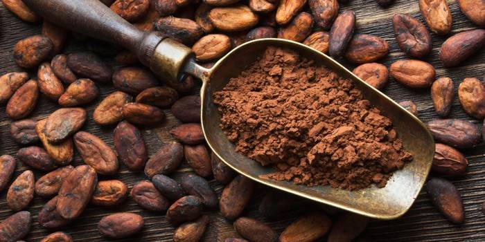 Una de las raíces del Cacao, la de origen maya