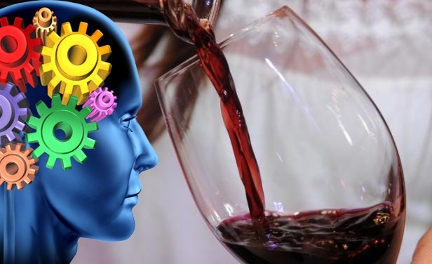 El vino como estimulador neuronal