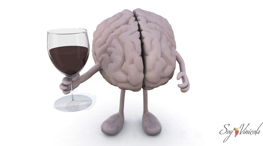 Más beneficios que el Vino puede aportar a tú cuerpo.