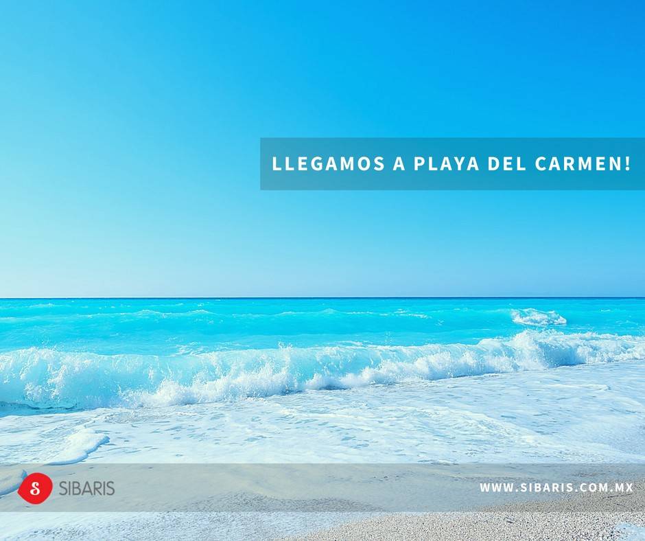 Sibaris ahora en Playa del Carmen.