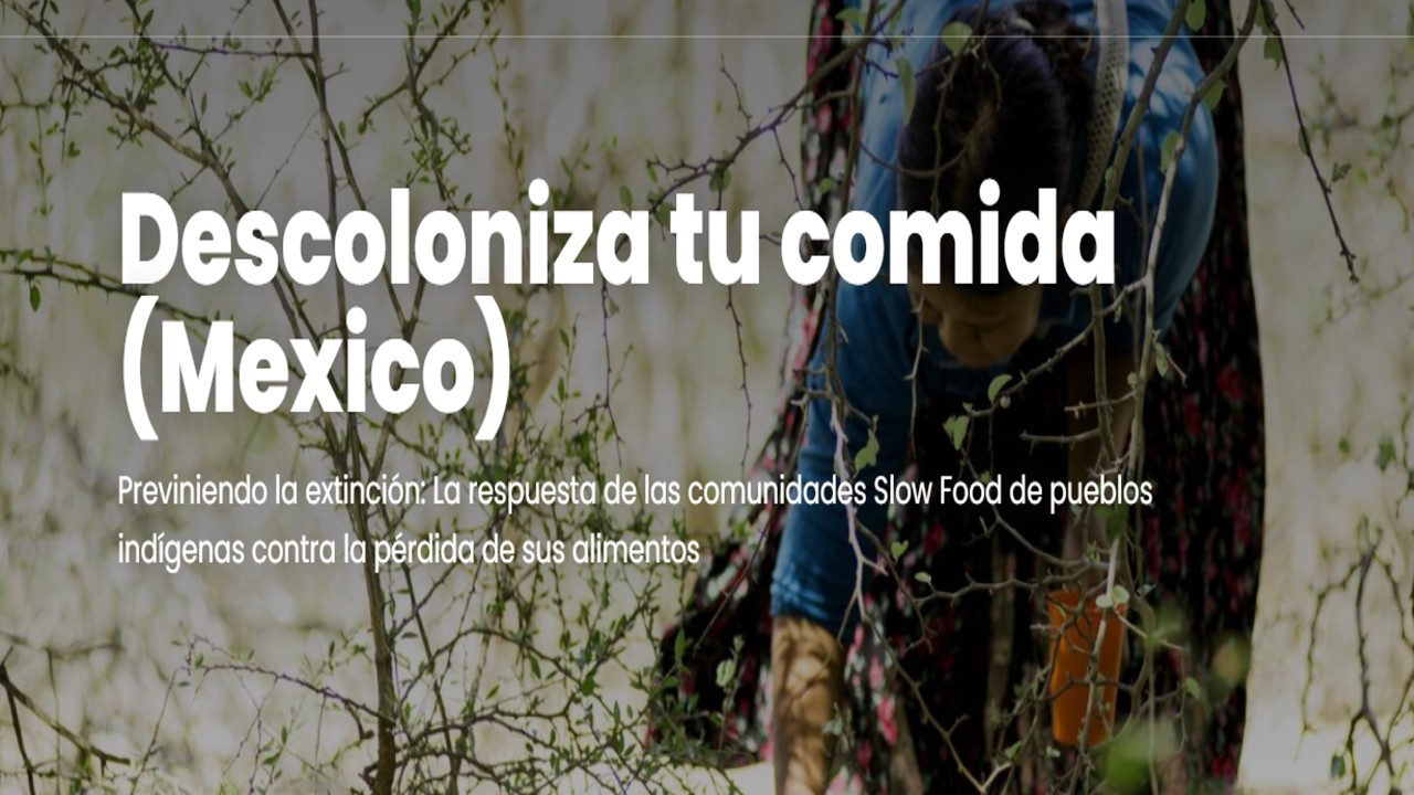 Puebla segundo puesto nacional en “Descoloniza tu comida”