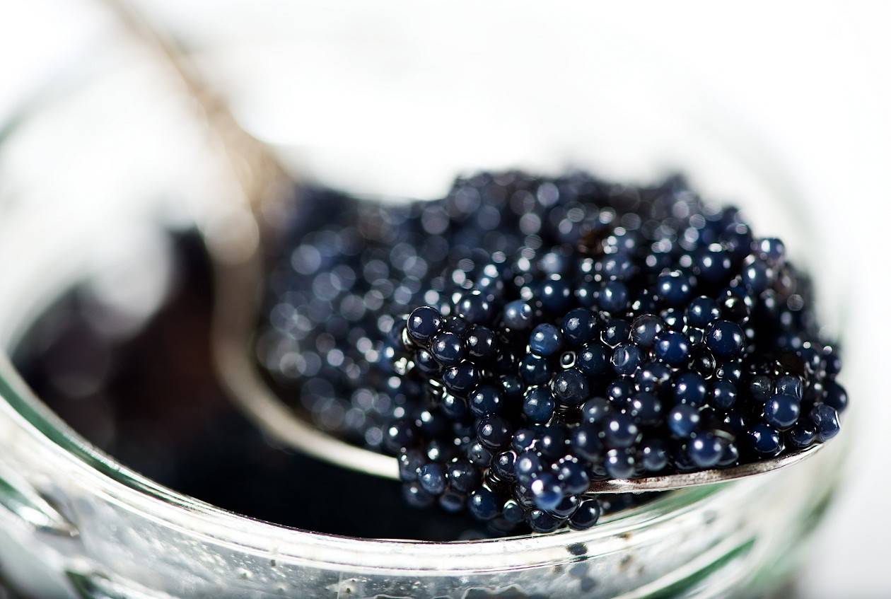 Sugerencias para probar la hueva del esturión: Caviar