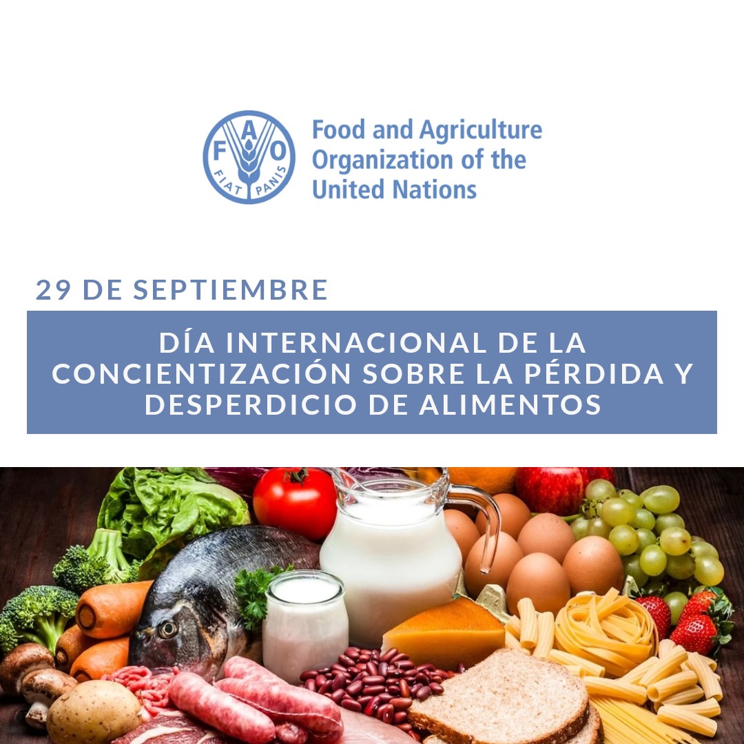 Ya hay Día Internacional de Concientización sobre la Pérdida y el Desperdicio de Alimentos